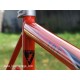 frame and fork CANYON ROAD RACE aluminium TDF swiss made